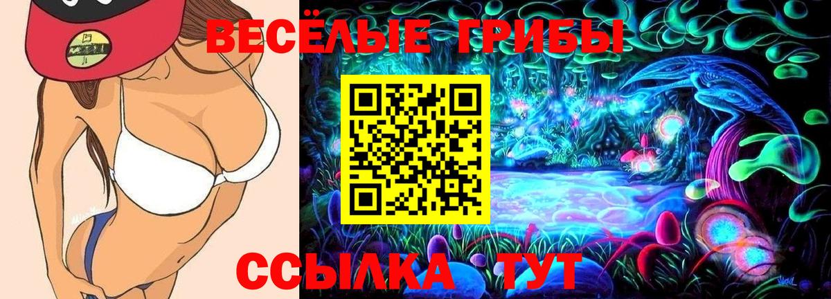Галлюциногенные грибы ЛСД  Вход с VPN  Орёл 